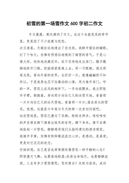 冬天的高中作第一场雪作文600字初二(经典)