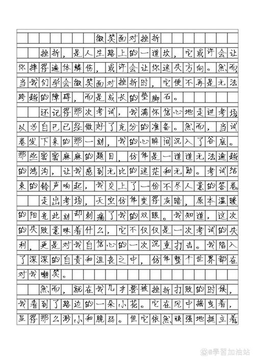 冲过风雨作高考作文600字初三