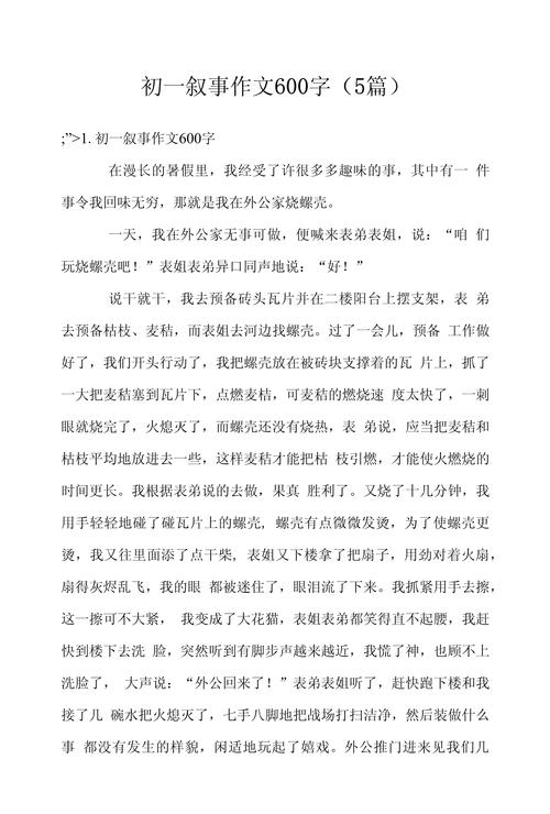 初一一件有趣的优秀作文事600字
