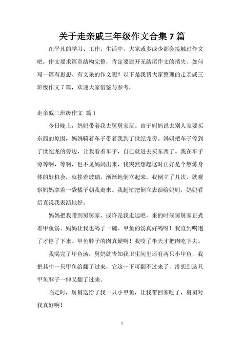初三走亲戚作文500字六年初中作(优秀)