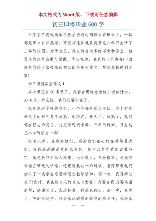 初中即将毕业作高中作600字