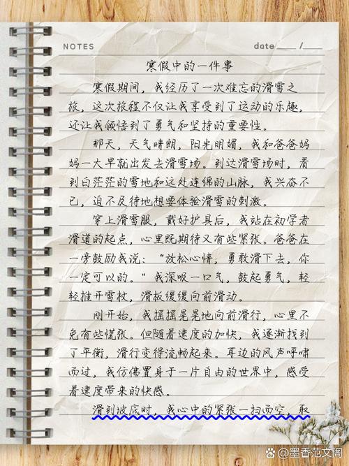 初中寒假趣事作作文网600字