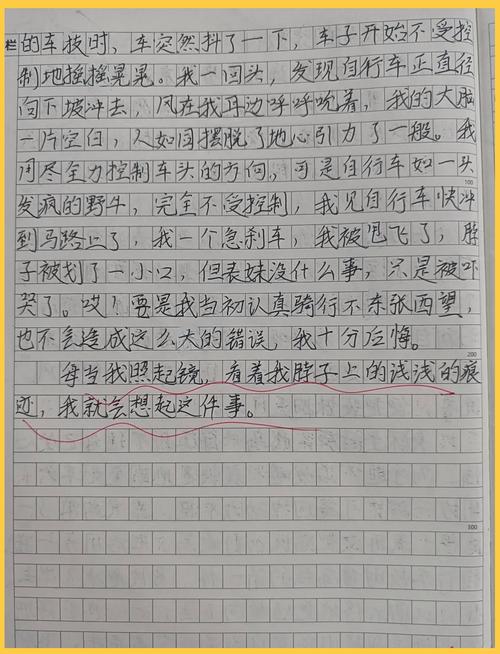 一次深刻的作文素材教训450字作文四年级