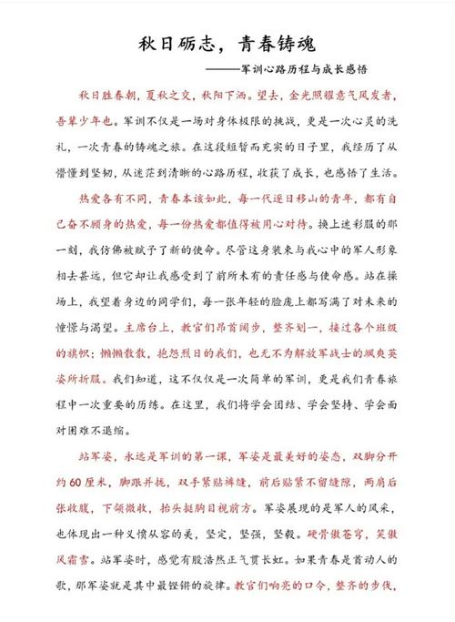 七年级有关军训的小升初作文作文500字左右