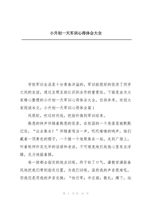 七年级有关军训的小升初作文作文500字左右
