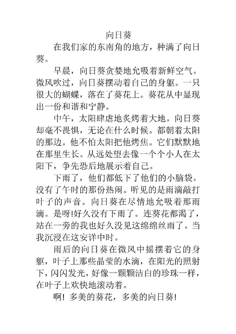 三年小学作作文向日葵关于精选9篇