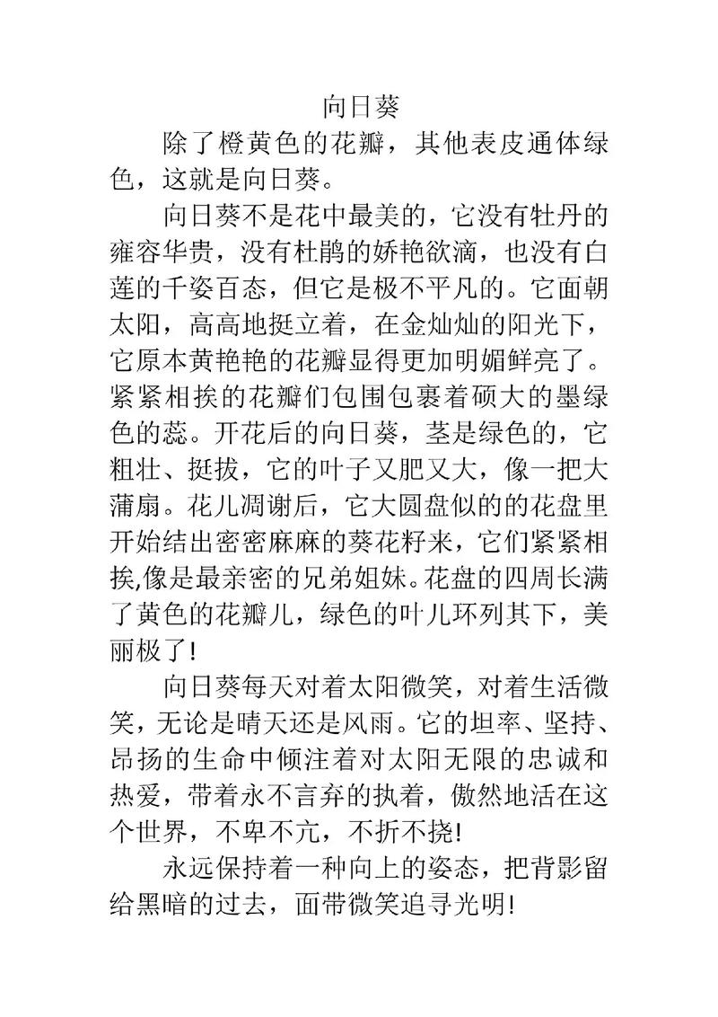 三年小学作作文向日葵关于精选9篇