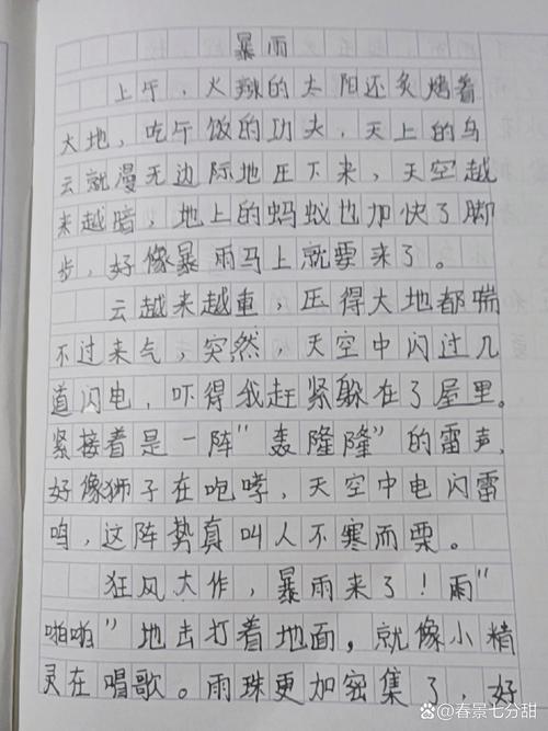 五月的小学作雨作文600字