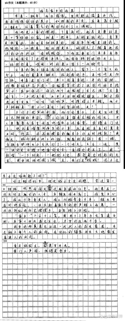 从四月的小学作迷茫走向坚强400字