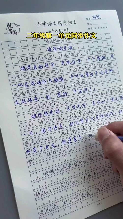 似水流年作六年级作文600初中优秀