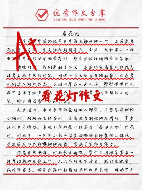元宵节赏花灯作文600字初中三年作文素材实用5篇