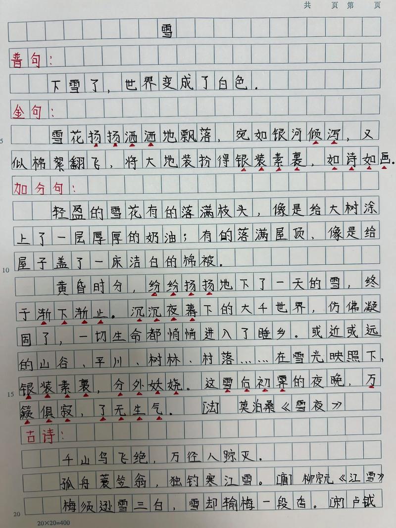 入春后的中考作文第一场雪作文300字小学三年级上册(必备)