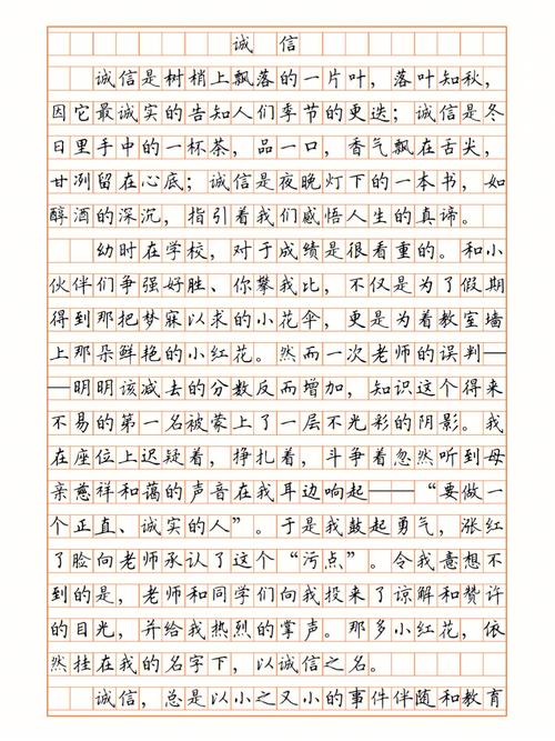关于诚信的小升初作文作文600字左右