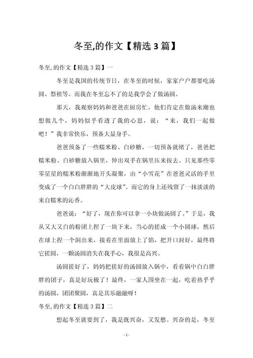 冬至饺子作文600字初中二年作文