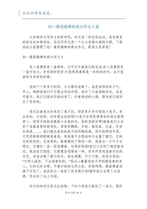 初一暑假趣事作中考作文