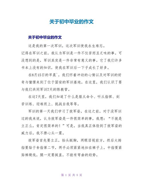 初中关于毕业的高中作作文600字