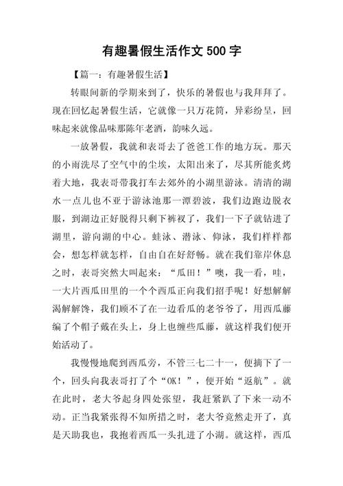 初中多彩的高中作暑假生活作文500字（通用合集）