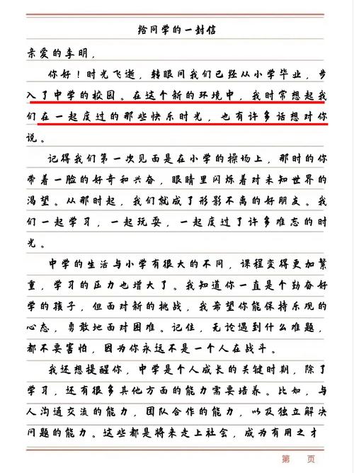 2017年高考江西满分作文：致美国笔友的中考作文信