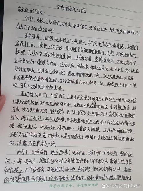 2017年高考江西满分作文：致美国笔友的中考作文信