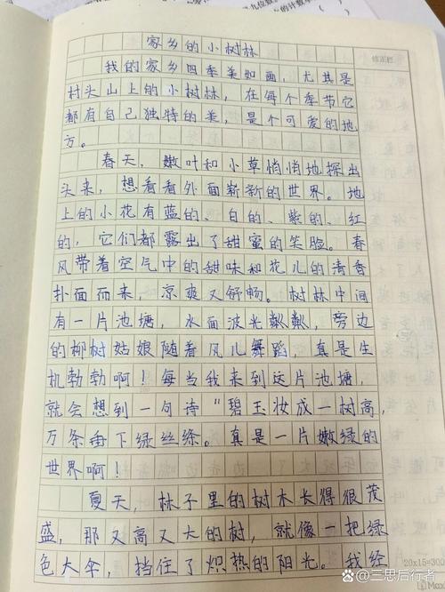 《推荐一个好地初中作方》作文四年级（精选6篇）