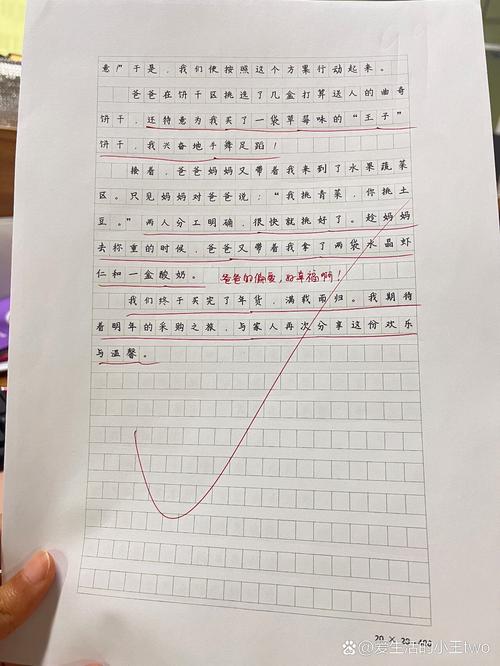 买年货作文500字小学五年高考作文(合集)