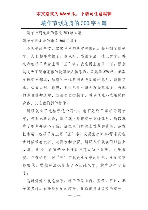 二年级写端午节龙舟赛的小升初作文作文300字（精选）