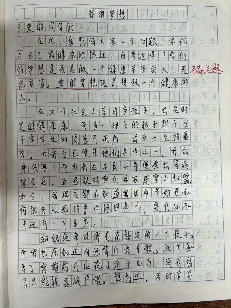他懂事了作作文大全600字