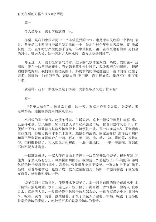 传统节日冬至作小升初作文600字初一