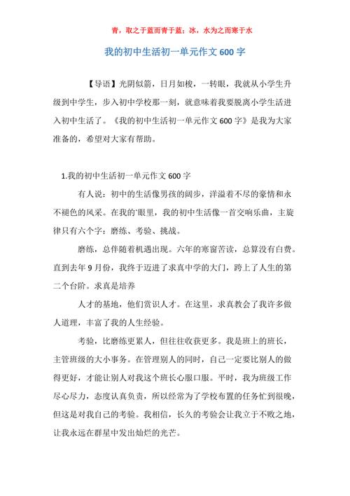 关于初中生活的小学作作文600字初一