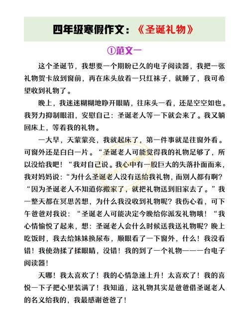 关于圣诞节的作文大全作文800