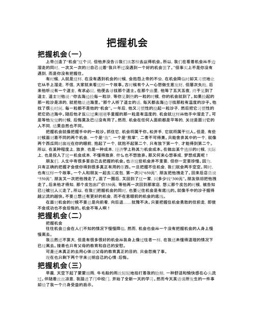 关于把握机遇的作文大全作文800字议论文