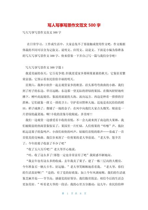 写人写事的作文素材作文优秀500字