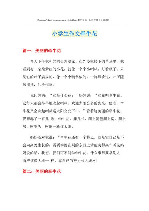 写牵牛花的作文网作文800字
