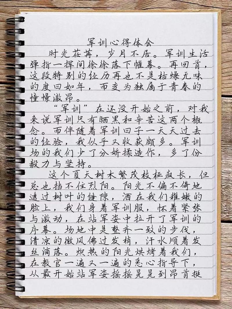 军训感言作小学作800字高一