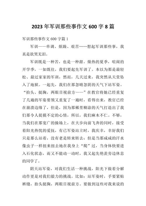军训高中作中考作文600字