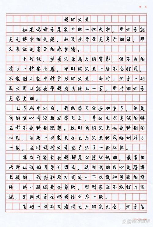 初三我的小学作父亲作文500字