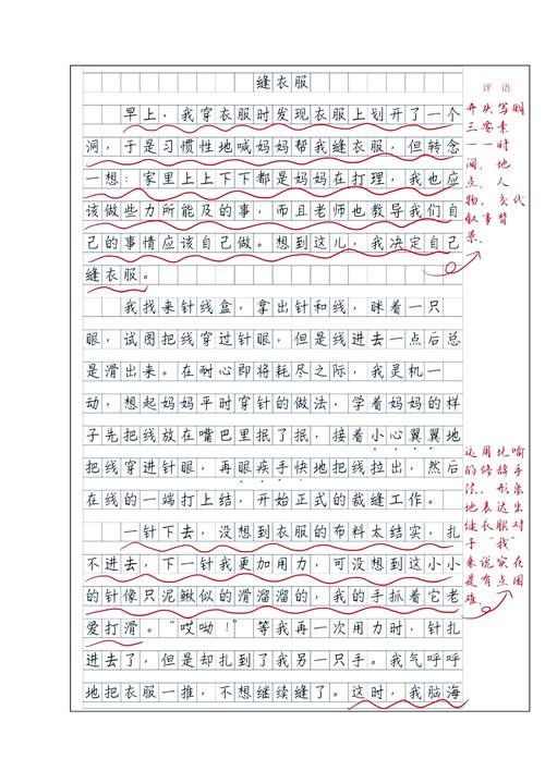 初中生暑假趣事作初中作800字(个人通用)