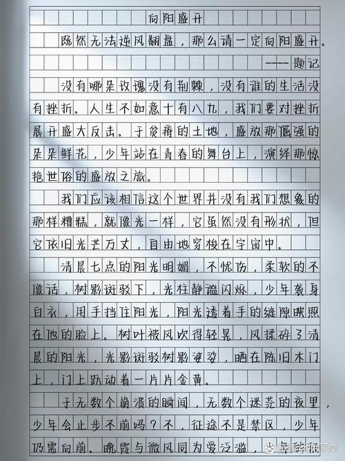 2017年高考新课标2满分作文：自强开放，中考作文光照四方