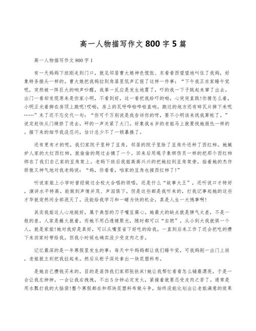 人物描写高中作作文大全精选