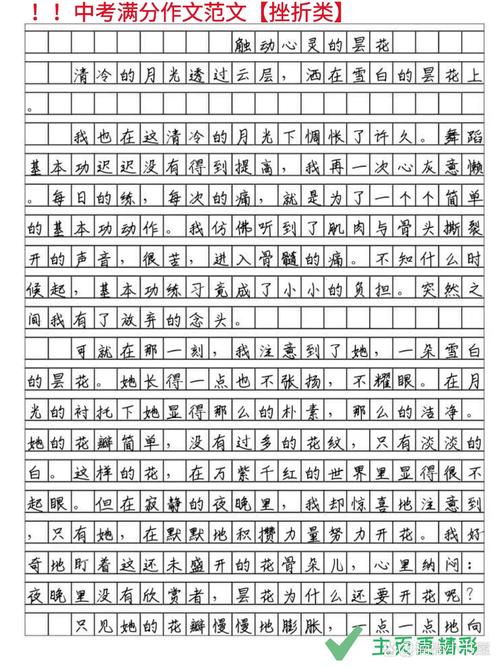 八年级关于考验的六年级作文作文700字