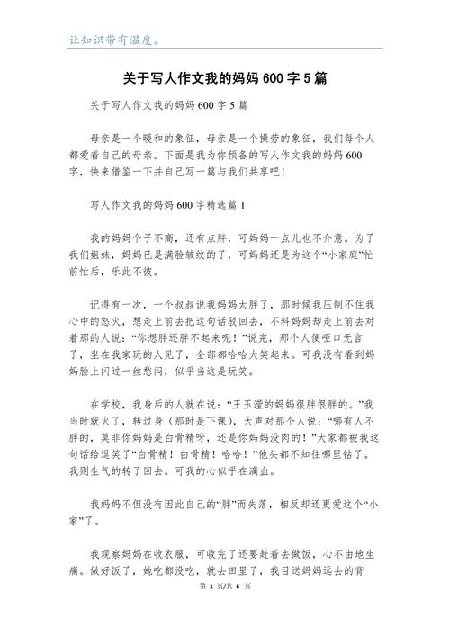 关于写人的六年级作文作文六年级600字