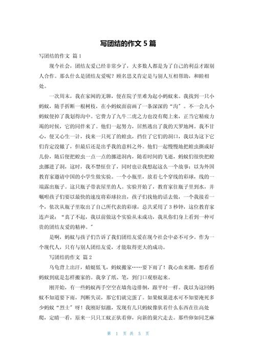 关于团结互助的小升初作文初二作文（个人通用）