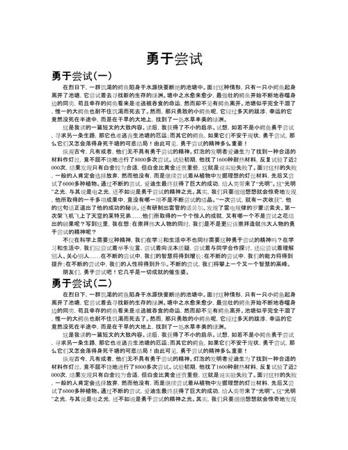 关于尝试的初中作作文