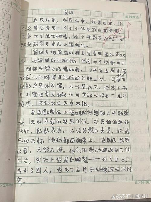 关于蜜蜂的作文素材作文300字三年级
