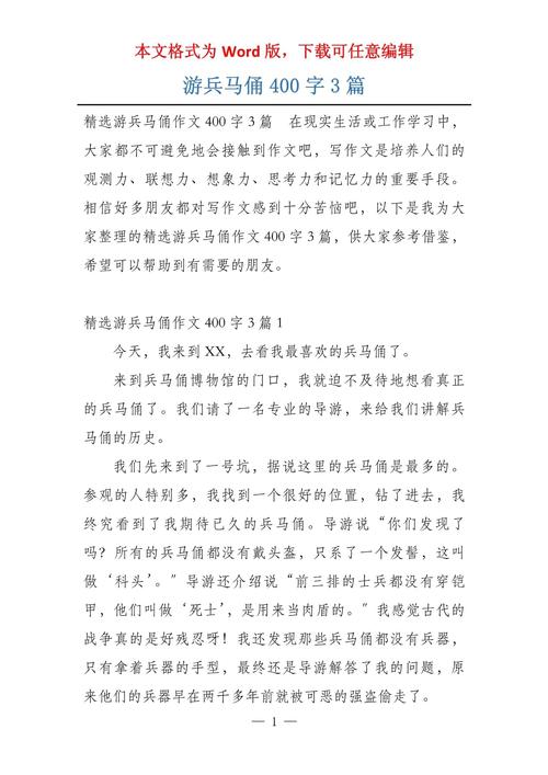 兵马俑游记作高考作文400字