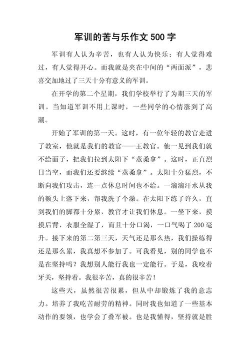 军训时光作高考作文500字初一