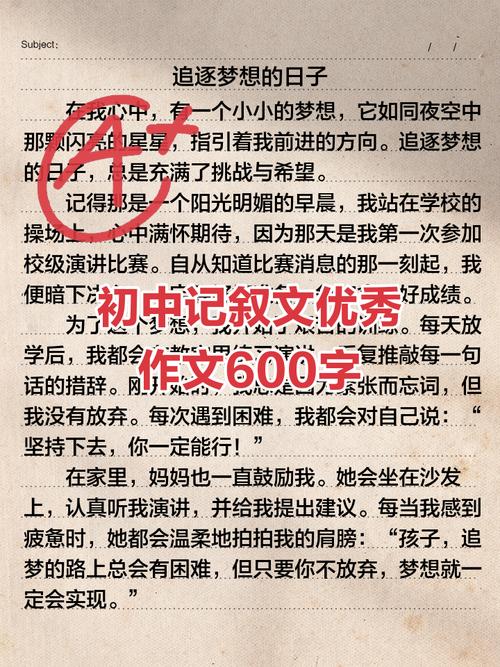 压力作小学作600字初中记叙文