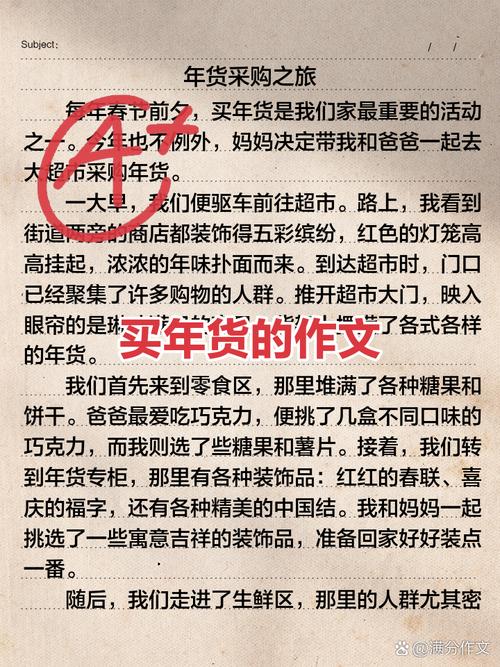 和妈妈一起买年货作作文大全700字