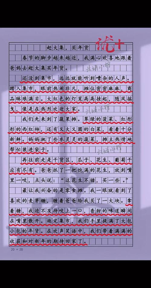 和妈妈一起买年货作作文大全700字
