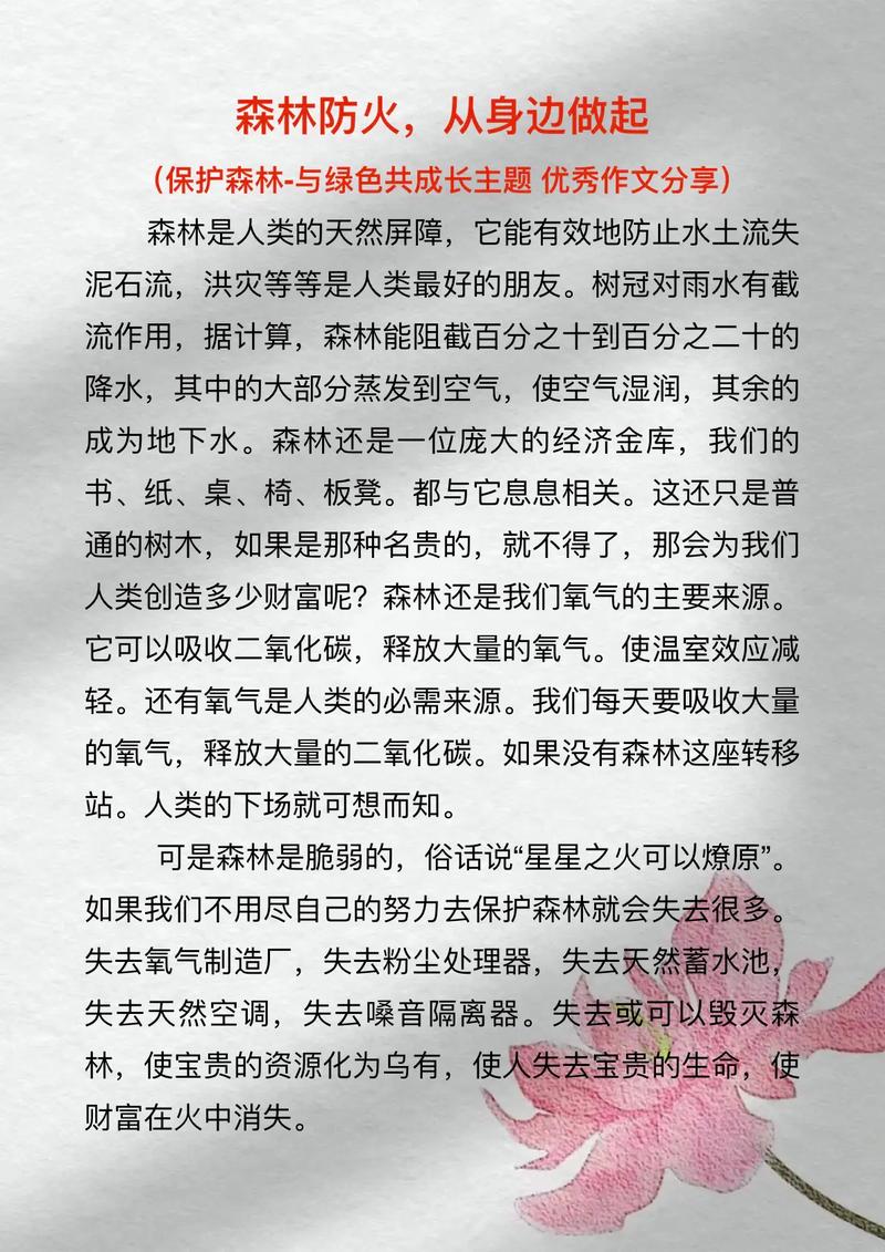四年优秀作文保护森林作文400字（通用5篇）